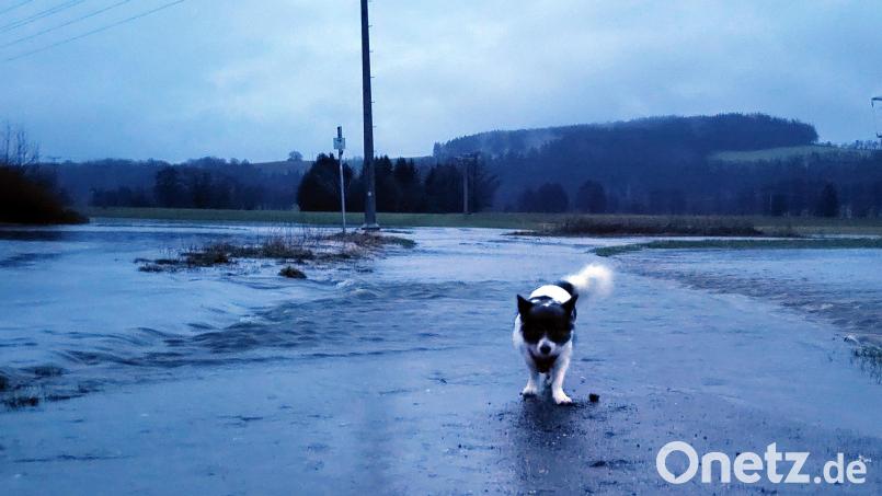 Die Wasserstände in Teilen Bayerns steigen weiter. In Franken und der Oberpfalz führten Flüsse am Donnerstag bereits Hochwasser. Bild: Würth, Wolfgang
