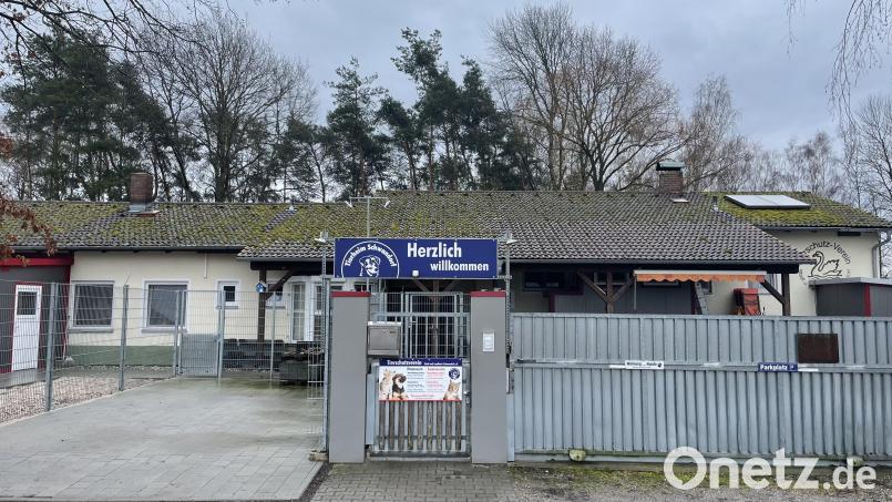 Das Tierheim in Schwandorf muss sein Dach erneuern. Einen Teil des Geldes hat es inzwischen schon beisammen - und hofft nun noch auf die Hilfe von Kommunen. Bild: Tierheim Schwandorf/exb