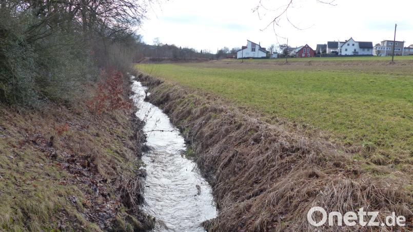 Der Eichelbach bei Kohlberg in seinem derzeitigen Bachbett. Er soll renaturiert werden. Bild: hme