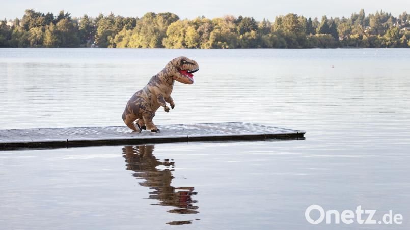 Rabiat wurde ein als Dinosaurier verkleideter Mann in Ursensollen. Symbolbild: Paul Christian Gordon