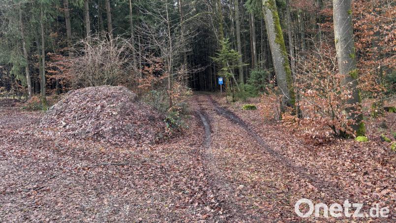 Südlich von Ödhaag verläuft dieser Waldweg in Richtung Lauterhofen. Er soll nun zum Radweg ausgebaut werden. Bild: ge