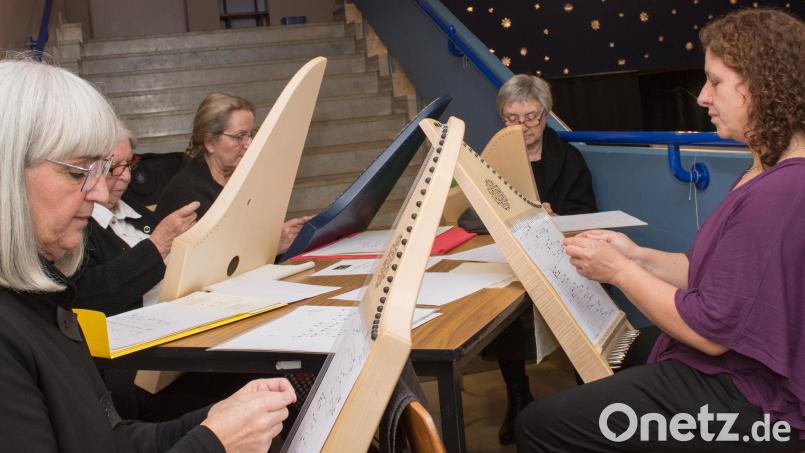 Die Veeh-Harfen-Gruppe unter dem Dach der Caritas hatte bei der Eröffnung der Tirschenreuther Krippenschau ihren ersten öffentlichen Auftritt. Das Musikinstrument setzen Gaby Saller, Ulla Unger, Karin Frank, Ute Böhm und Anita Greger (von links) zukünftig unter anderem bei der ambulanten Sterbebegleitung mit ein. Bild: Thomas Sporrer