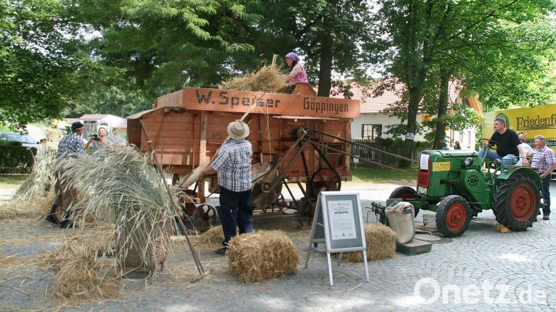 Vorführungen des Teams Tourismus wie beim Traditionsfest 2016 (Bild) begeistern Urlaubsgäste und Einheimische. Im Bild Theo Höfer, Erwin Bächer, Monika Wiese und Harald Schultes beim Dreschen von Getreide. Archivbild: bsc