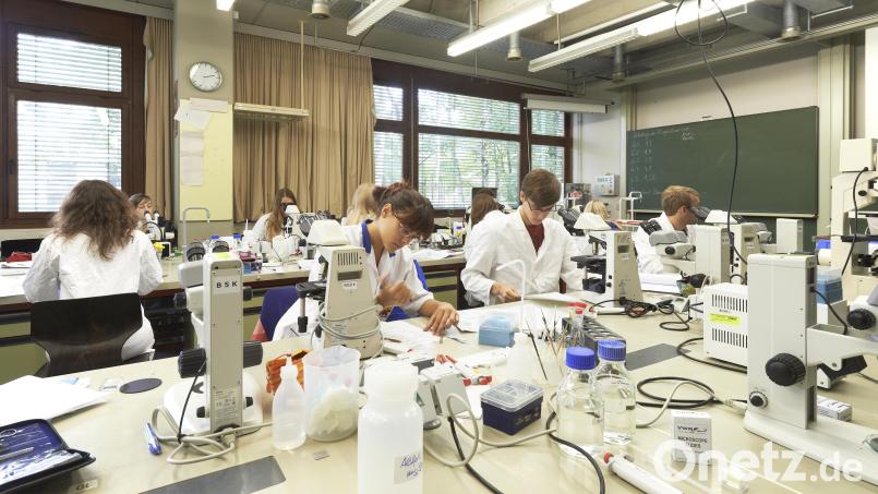 Das Labor der Friedrich-Alexander-Universität Erlangen-Nürnberg (FAU). Bei den Erlanger Unitagen gibt es einen Vortrag von Prof. Dr. Monika Pischetsrieder mit dem Titel: &quot;Wie sehen die Lebensmittel der Zukunft aus?&quot; Bild: FAU/David Hartfiel