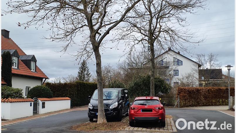Im Bereich der Benzstraße und ihrer Nachbarstraßen will die Gemeinde Kümmersbruck Bäume entfernen. Bild: Alexander Greiner/exb
