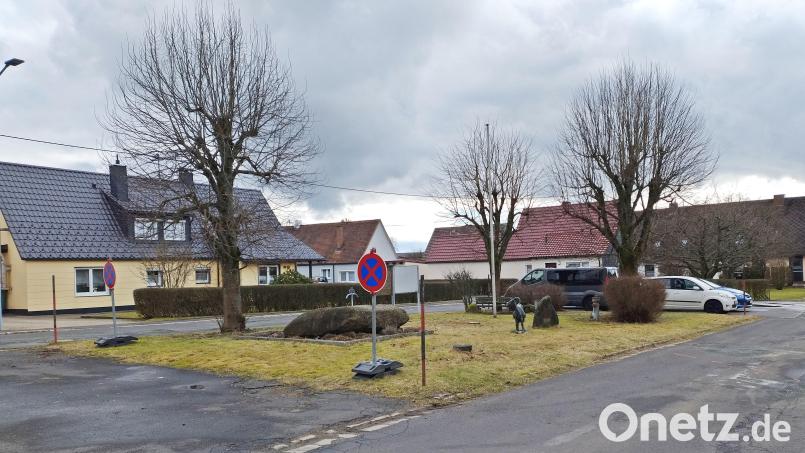 Diese drei Bäume werden nach Beschluss des Gemeinderats gerodet. Vier neue werden gepflanzt, ein weiterer hinter den geparkten Autos am südlichen Ende. Bild: ld