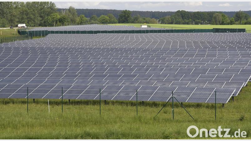 Das Erzeugen von Energie durch Freiflächen-Photovoltaik ist für Landwirte lukrativer als das Erzeugen von Lebensmitteln. Symbolbild: Petra Hartl