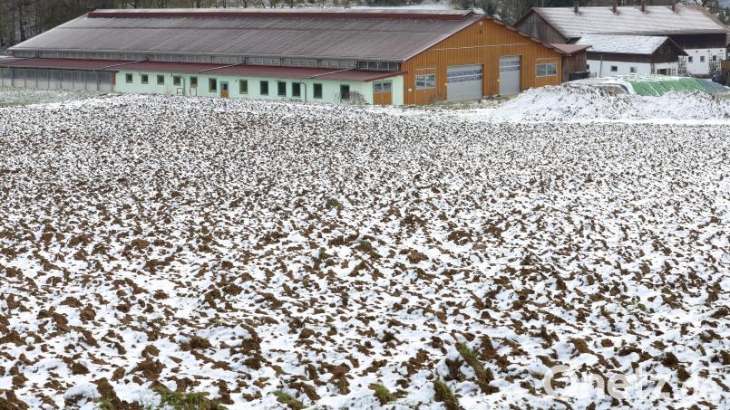 Der Trend zu immer größeren Höfen in der Region setzt sich auch im Jahr der Bauernproteste fort. Bild: Wolfgang Steinbacher