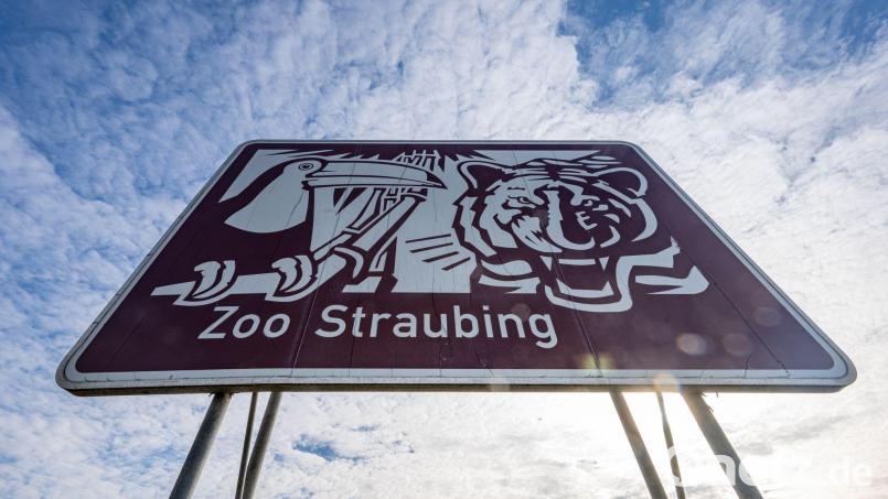 &quot;Zoo Straubing&quot; steht auf einem Hinweisschild an der Autobahn A3. Der Straubinger Stadtrat lehnte am 19. Februar die Erneuerung der Tiergarten-Werbeschilder entlang der A3 ab. Bild: Armin Weigel/dpa