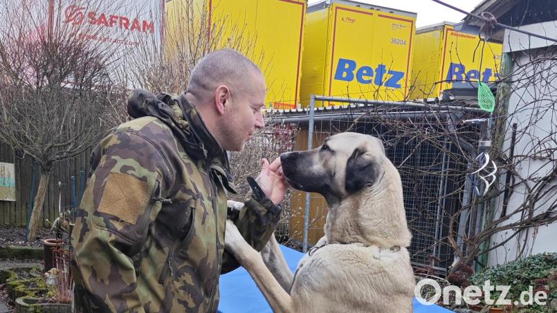 Kangal-Hündin &quot;Jenny&quot; und ihr neues Herrchen. Bild: Sigmund Gilch/exb