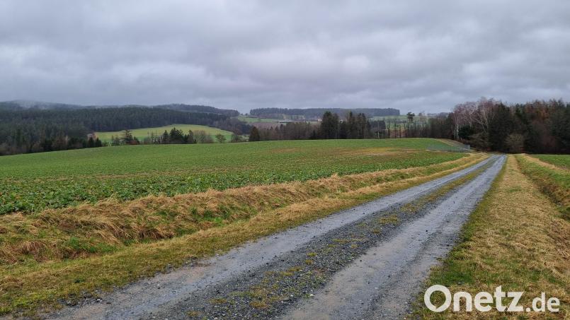Als Standort ist eine Fläche zwischen dem Zeidlweidweg und dem Fichtelnaabradweg, nördlich der Rohrmühle, vorgesehen. Bild: kaz