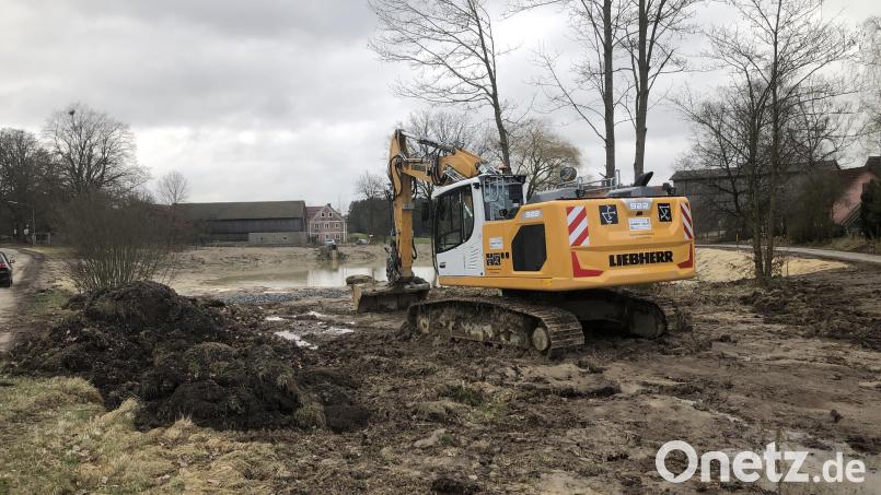 Vor wenigen Wochen wurde der Bauhof der Marktgemeinde Falkenberg über den sinkenden Wasserspiegel des Bodenreuther Dorfteichs informiert. Inzwischen laufen die Reparaturarbeiten, mit denen das ortsansässige Baggerunternehmen Hubert Hecht beauftragt wurde. Bild: wro