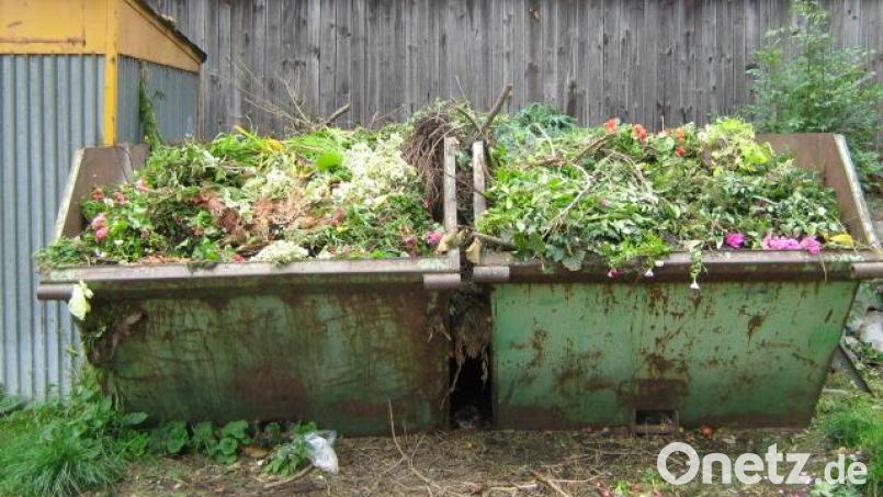 An verschiedenen Sammelstellen im Landkreis Neustadt stehen bereits ab dem 26. Februar wieder Grüngutcontainer. Archivbild: Peter Hägler /exb