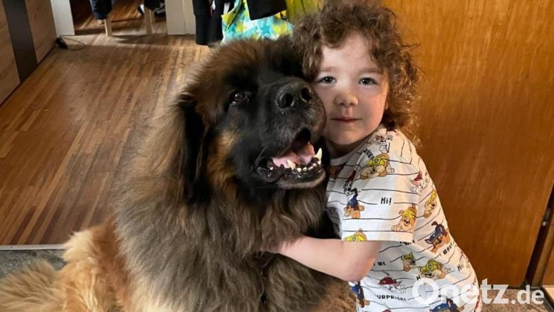 "Beppe" , hier mit der kleinen Lena, ist vermutlich an einer Vergiftung gestorben. Bild: Andrea Stoiber/exb