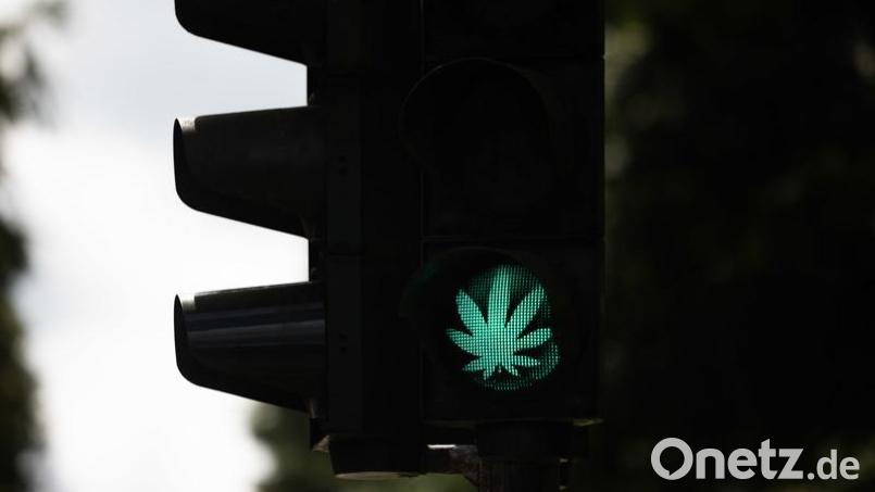 Der Bundestag hat die kontrollierte Freigabe von Cannabis in Deutschland beschlossen. Symbolbild: Rolf Vennenbernd
