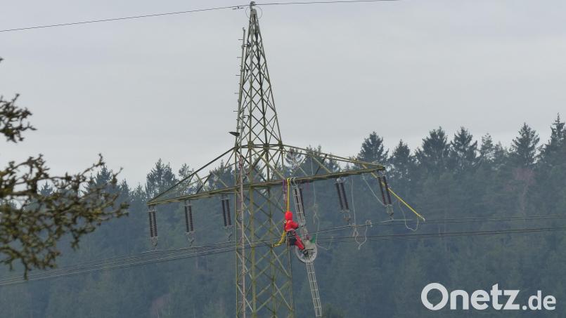 In luftiger Höhe sind die schwindelfreien Fachleute beim Auswechseln der Hochspannungsleitung zwischen Weiden und Reisach am Werk. Bild: sl