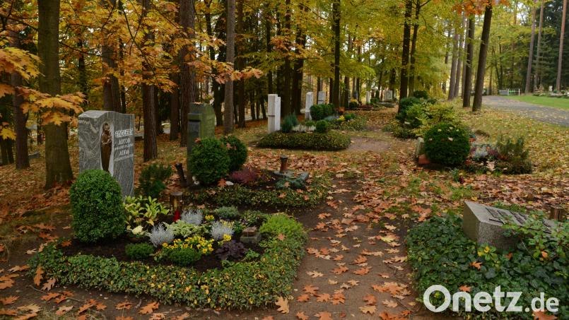 Auf dem Waldfriedhof in Weiden wurden Blumen von mehreren Gräbern herausgerissen. Die Polizei ermittelt. Symbolbild: Hartl