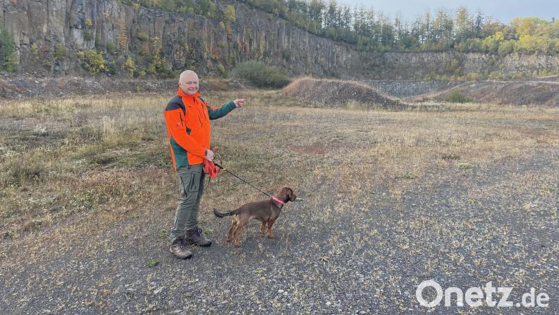 Norbert Zintl begeht mit seiner Hündin das Gelände. Die steilen Basaltwände weckten auch das Interesse von Kletterfreunden. Bild: Schinner, Marina