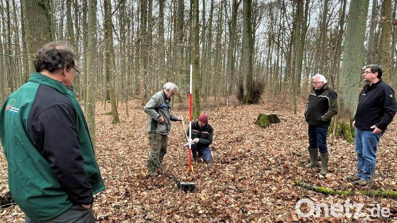 Im Beisein von Jägern und Jagdgenossen markierten der Abteilungsleiter des Amtes für Ernährung, Landwirtschaft und Forsten, Sven Grünert (kniend Mitte), und Revierleiter Werner Lang (Zweiter von links) die ersten Pflänzchen auf dem Mariahilfberg. Bild: Susanne Schwab