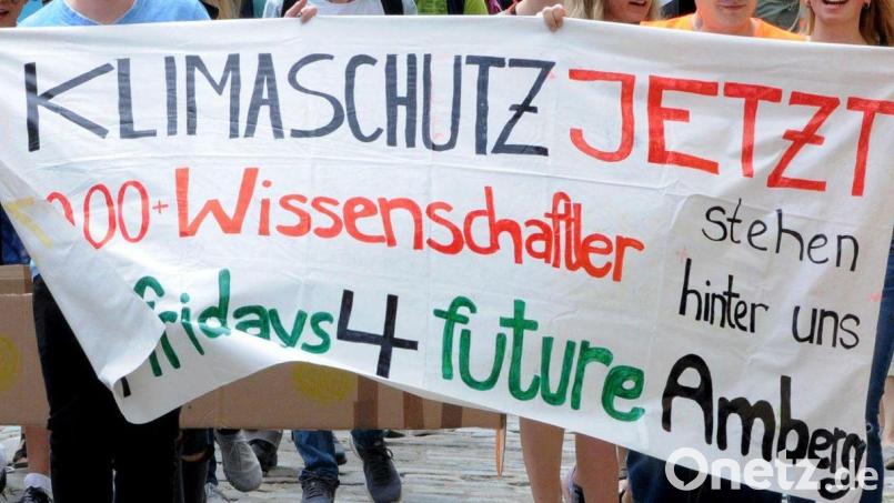 Am Freitag, 1. März, gibt es in Amberg erneut einen Klimastreik. Beginn ist um 14.15 Uhr beim Pavillon im Englischen Garten. Archivbild: Stephan Huber