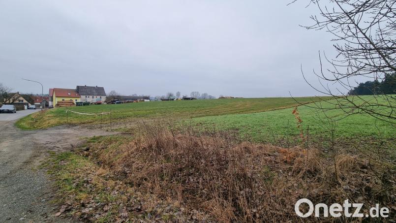 Das Dienstleistungsunternehmen Frank plant bereits seit sieben Jahren eine Unterstellhalle für land- und forstwirtschaftliche Maschinen in Siegritz. Nach der zweiten öffentlichen Auslegung rückt eine Verwirklichung nun einen Schritt näher. Bild: kaz
