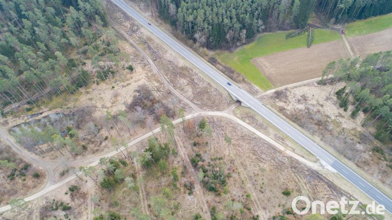 Der Wald- und Feldweg durch die Unterführung „Wolfsgrube“ an der B 85 verbindet den Sulzbach-Rosenberger Stadtteil Breitenbrunn mit den Ortschaften Haar und Aichazandt. Nach etwa 70 „Betriebsjahren“ wird die Unterführung abgerissen und erneuert. Dazu wird auf der linken Straßenseite eine Behelfsumfahrung eingerichtet. Bild: Thilo Hierstetter