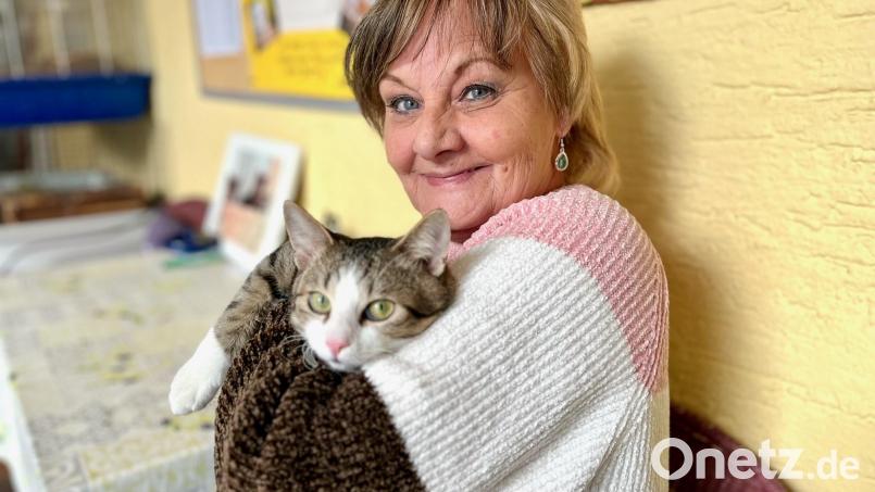 Jutta Böhm freut sich auf das neue, moderne Tierheim in Weiden. Bis zum Herbst soll zumindest schon das Hundehaus stehen. Bis die Einrichtung ganz fertig ist, wird es wohl noch einige Zeit dauern. Bild: Gabi Schönberger