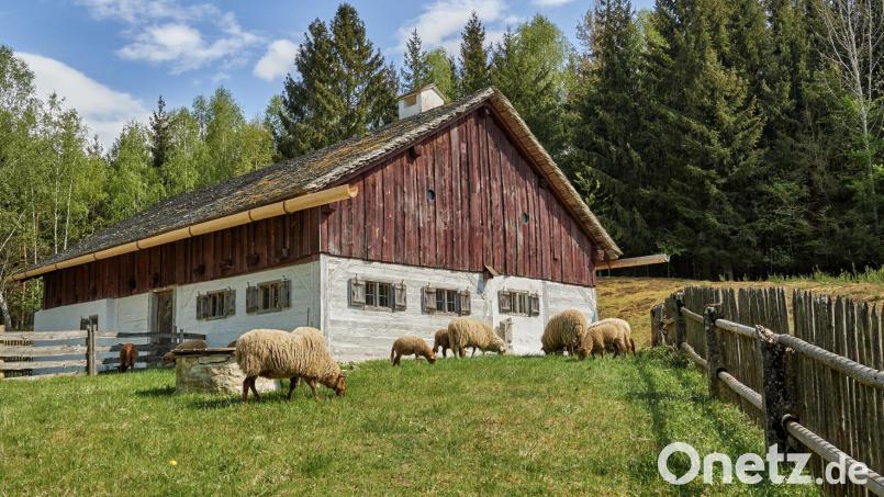 Ab Samstag, 16. März, ist das Freilandmuseum Oberpfalz wieder geöffnet. Bild: Florian Trykowski/exb