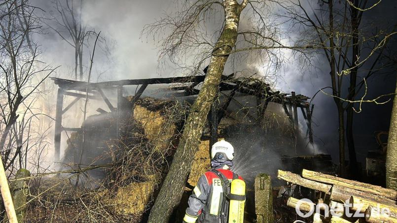 Die Einsatzkräfte konnten durch ihr schnelles Eingreifen Schlimmeres verhindern. Bild: dob