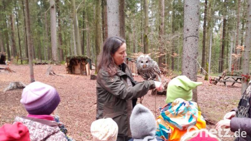 Michaela Domeyer war mit Habichtskauz &quot;Birke&quot; zu Besuch im Waldkindergarten. Bild: Waldkindergarten Goldbacher Wurzelzwerge/exb