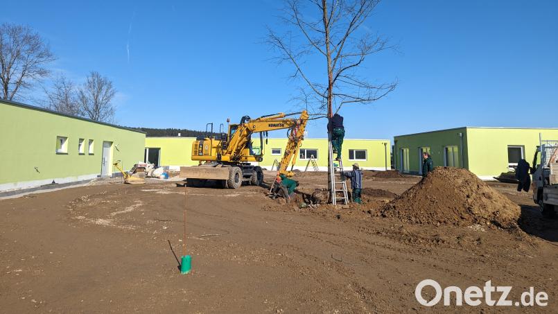 Im Außenbereich stehen noch Arbeiten an. Die große Linde, die den Mittelpunkt des Innenhofs bildet, ist aber schon gepflanzt. Bild: wrl