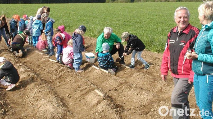 Mit der Idee eines Weltackers, die er mangels Interessenten wieder aufgeben musste, macht Gemeinderat Werner Brunner (Zweiter von rechts) sein Engagement für eine nachhaltige Umwelt deutlich. Alternativ stellte er sein Feld für ein Kartoffelfest des Kindergarten zur Verfügung. Archivbild: ld
