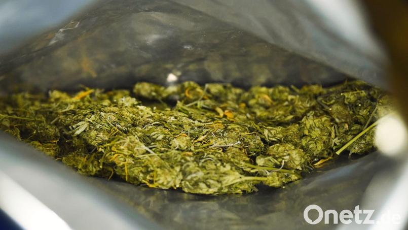 Sichergestelltes Marihuana ist an einer Kontrollstelle der Polizei zu sehen. Symbolbild: Nicolas Armer/dpa