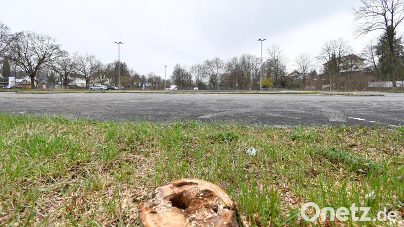 Am Hockermühlparkplatz in Amberg wurden fast alle Bäume gefällt. Das hängt mit dem Bau einer Photovoltaikanlage zusammen. Bild: Petra Hartl