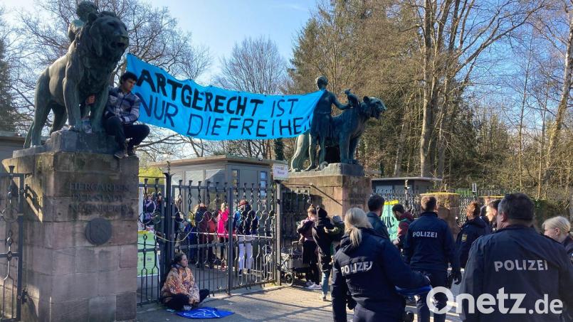 Aktivisten demonstrieren am Nürnberger Zoo gegen die geplante Tötung von Pavianen. Bild: Sebastian Schlenker/dpa