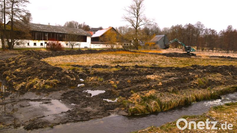 Der Keckenweiher wird teilweise ausgebaggert, um ihn auf lange Sicht als Gewässer zu erhalten. Bild: Armin Ebneth/Stadt Schönsee/exb