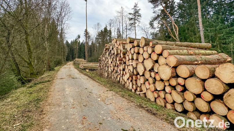 Reichlich Bäume haben die Mitarbeiter eines Forstbetriebs im Auftrag des Amts für Ernährung, Landwirtschaft und Forsten am Steinwaldradweg bei Waldershof gefällt. Bild: Matthias Bäumler/fph