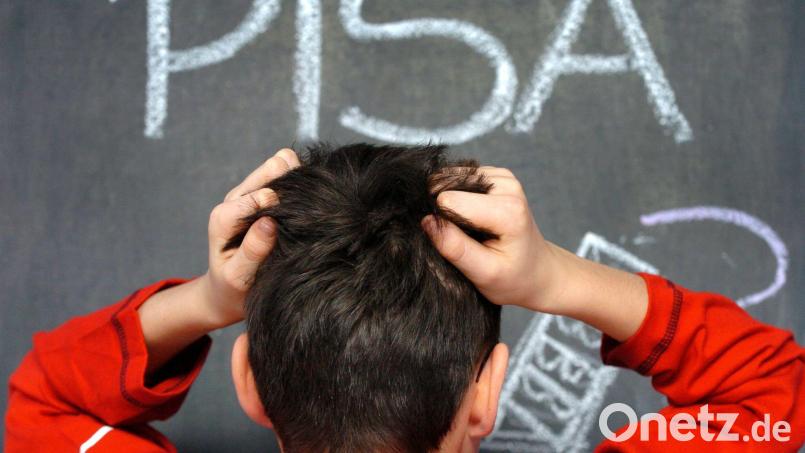 Vertreter der BLLV-Kreisverbände in Amberg und Amberg-Sulzbach kritisieren die &quot;Pisa-Offensive&quot; des Kultusministeriums. Symbolbild: Jens Büttner/dpa