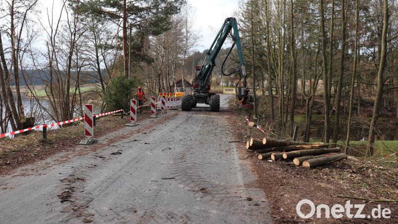 Erste vorbereitende Maßnahmen zur Dammsicherung wurden bereits getroffen. Bild: Stadt Tirschenreuth/exb