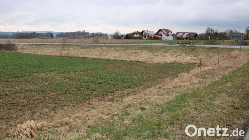 Fünf bis sechs Bauplätze des Neubaugebiets Ilsenbacher Straße lägen an einer recht lärmbelasteten Stelle. Der Gutachter schlägt deshalb die Errichtung eines Lärmschutzwalls vor, der mindestens drei Meter Höhe über der Fahrbahn der Staatsstraße messen sollte. Da das Gelände dort sowieso schon tiefer liegt und es bereits eine Böschung zur Staatsstraße gibt, wird die Gesamthöhe des Walls am Ende mindestens fünf Meter betragen Bild: prh