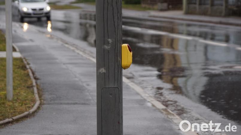 Ein Lastwagenfahrer hat in Walderhof eine Fußgängerampel beschädigt. Symbolbild: bkr