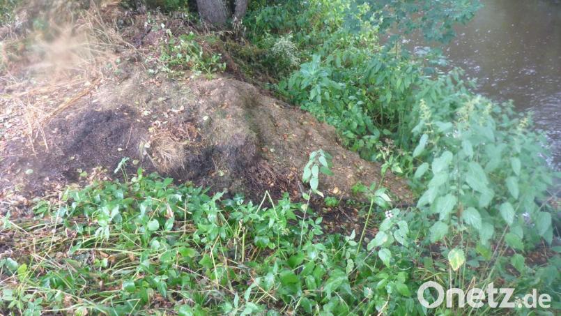 In Amberg-Sulzbach wird oft Grüngut illegal an Bächen und Flüssen entsorgt. Diese Fälle kommen auch in Weiden immer häufiger vor. Bild: Joachim Wehera, Wasserwirtschaftsamt Weiden/exb