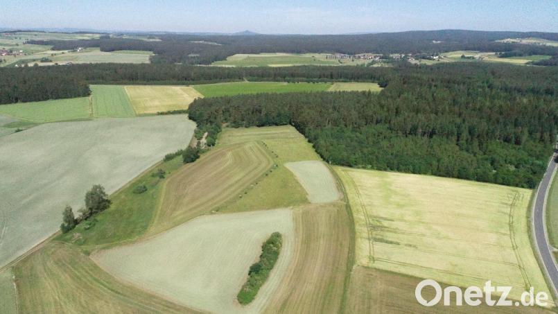 In diesem Gebiet soll der Solarpark am Hart entstehen. Bild: bey
