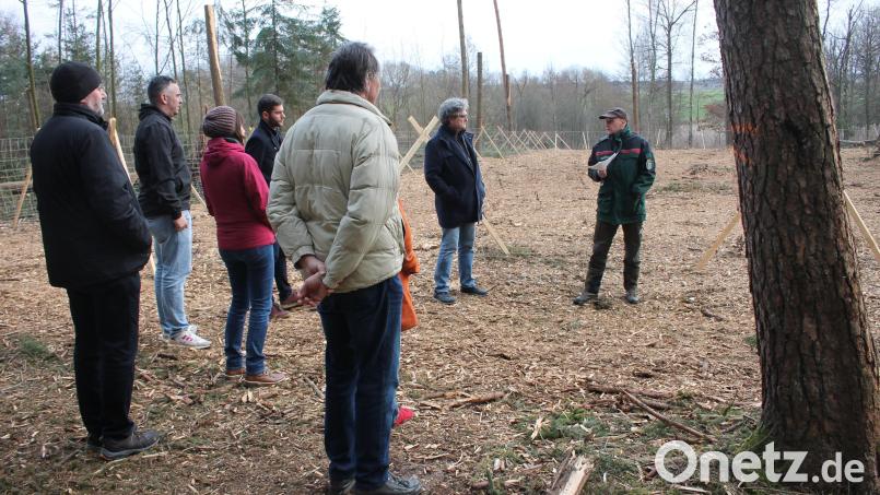 Abgeräumt sieht das stadteigene Waldstück (Hintergrund) auf der Flur &quot;Lanz&quot; aus. Doch Forstrevierleiter Martin Gottsche (rechts, mit Bürgermeister Bernhard Stangl Bauausschussmitgliedern) ist überzeugt, dass hier in einigen Jahren eine vielfältige Pflanzen- und Tierwelt entstehen wird, die das &quot;Ökokonto&quot; der Stadt Pressath nicht unerheblich auffüllt. Bild: bjp