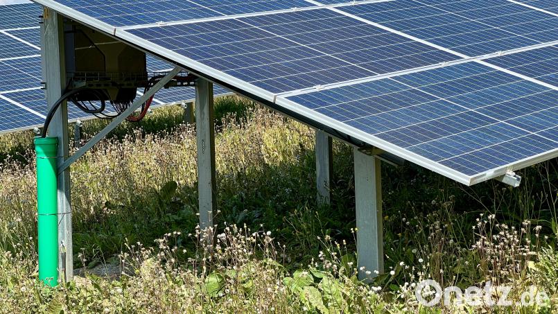 Das Dorf Störnstein könnte innerhalb kurzer Zeit drei Solarparks an seinen Rändern bekommen; die Weidener Enmag hat die Pläne für ihr zweites Projekt am Gügel vorgestellt. Symbolbild: Eichl