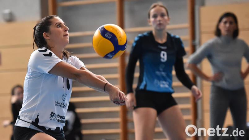 Die Weidener Volleyballerinnen waren in Eggolsheim erfolgreich. Bild: A. Schwarzmeier
