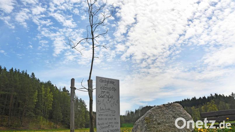 Diese Idylle sehen etliche Störnsteiner bedroht. Auf den Wiesen Richtung Floß haben sie daher ein Protestplakat gegen den Südost-Link aufgestellt. Archivbild: Gabi Schönberger