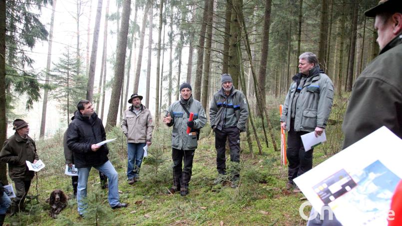 Momentan sind Förster und Jäger im Wald unterwegs, um Daten für das neue Vegetationsgutachten zu erstellen, das im Herbst erscheinen soll. Bild: Hirsch