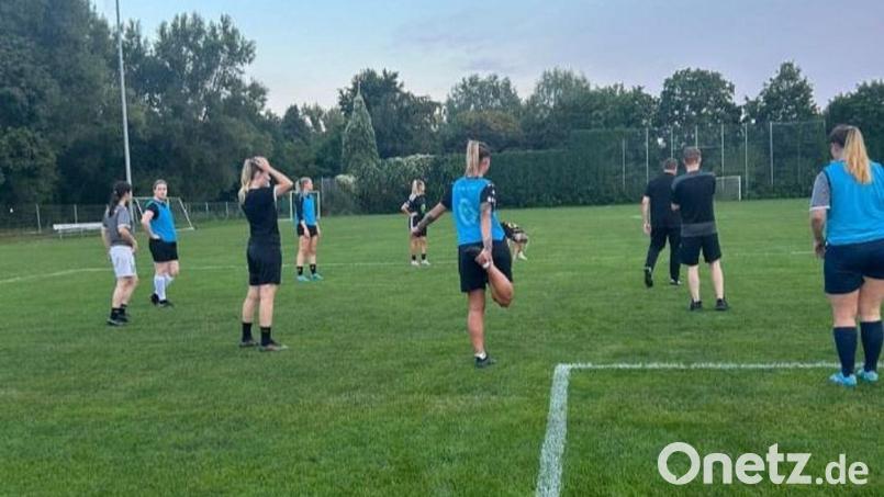 Um diese Fläche geht es: Aus dem C-Platz, auf dem im Sportpark am Schanzl auch das Damen-Team des FC Amberg spielt und trainiert, soll ein Kunstrasenplatz werden. Bild: FC Amberg Damen/exb