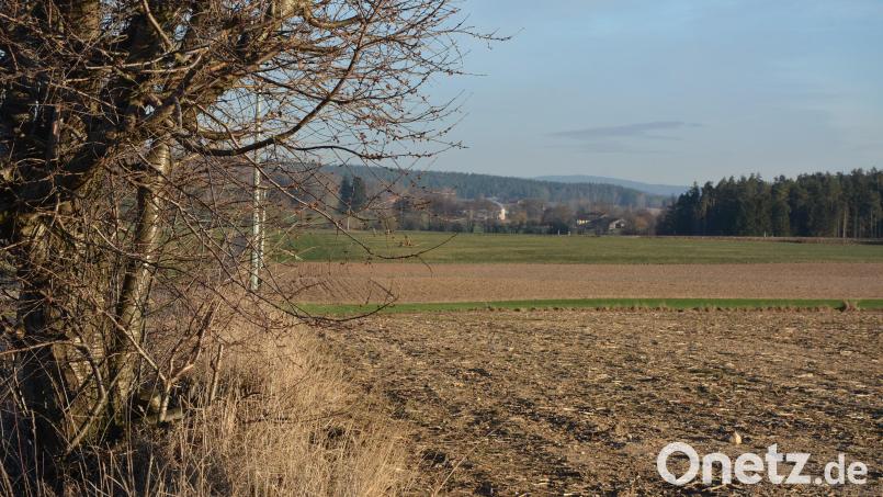 Im Leonberger Gemeindegebiet soll der Süd-Ost-Link über Themenreuth in Richtung Großensees (im Hintergrund) führen. Noch im ersten Halbjahr dieses Jahres sollen erste Arbeiten für den Neubau der Trasse beginnen. Bild: jr